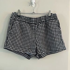 JCrew Size 4 Mod Polka Dot Casual Pull On Shorts